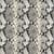 Black White Snake
