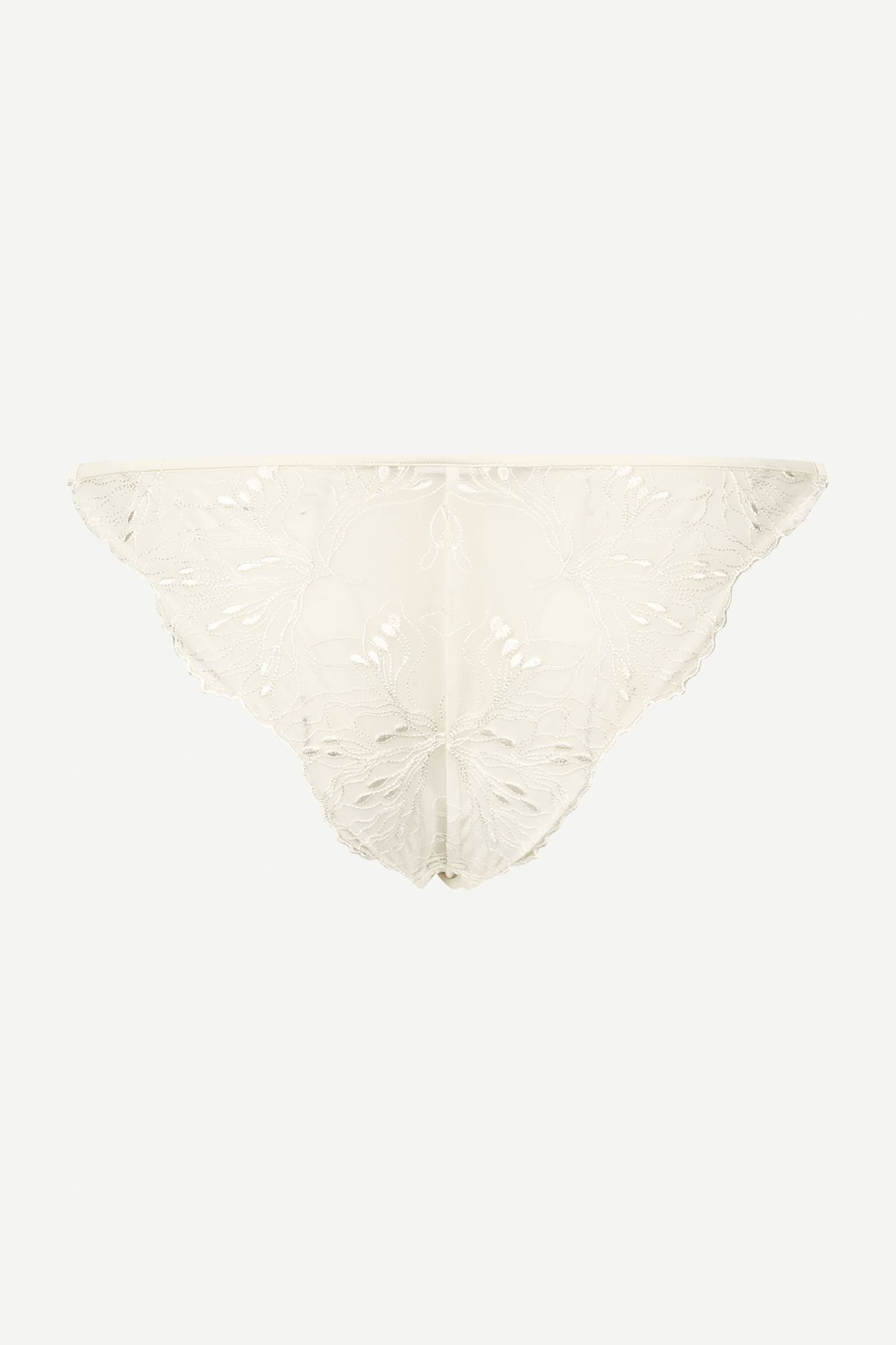Saaudrey brief 15578 Egret