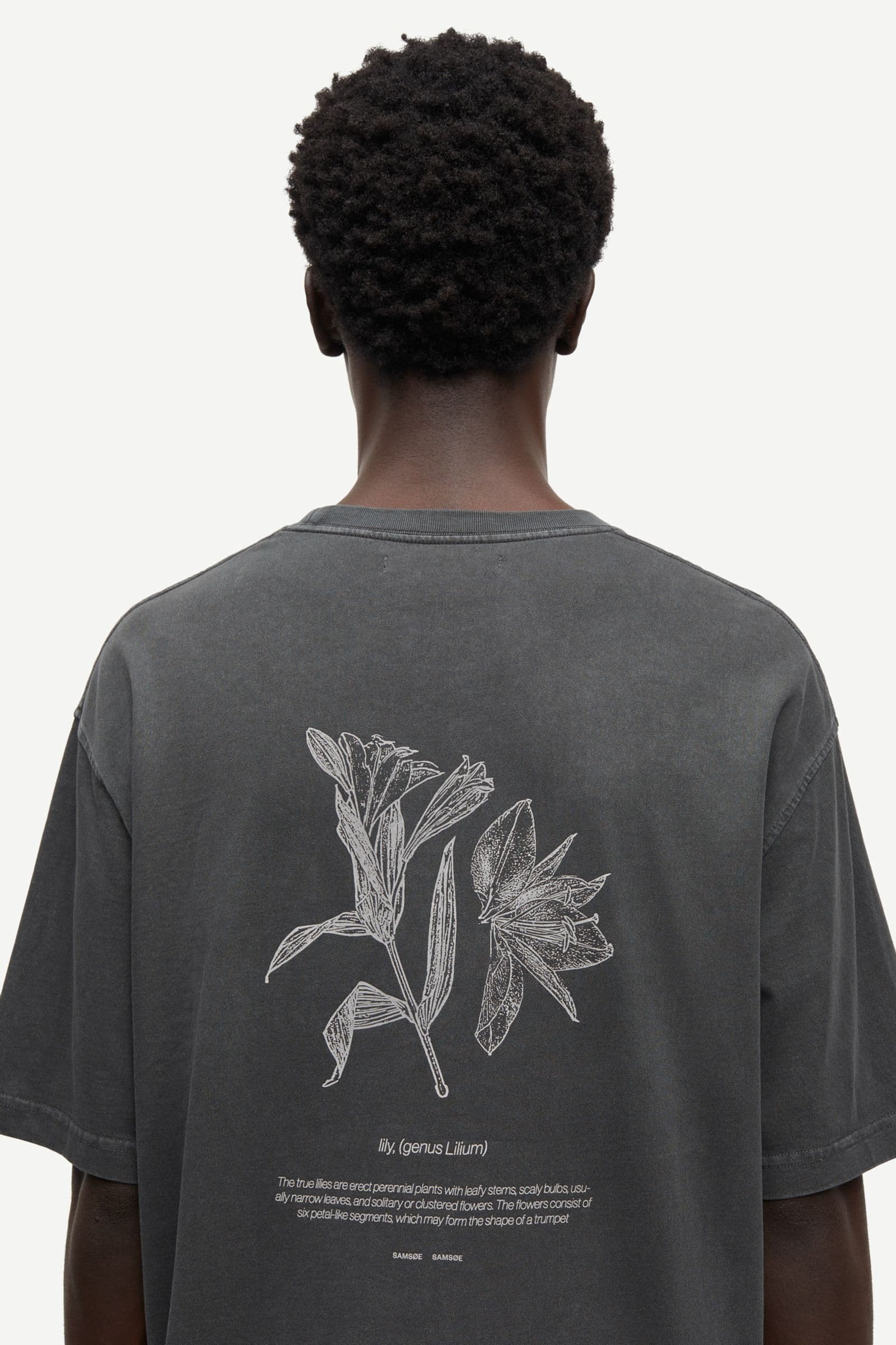 Salilium t-shirt 15489 Lilium Clear Cream