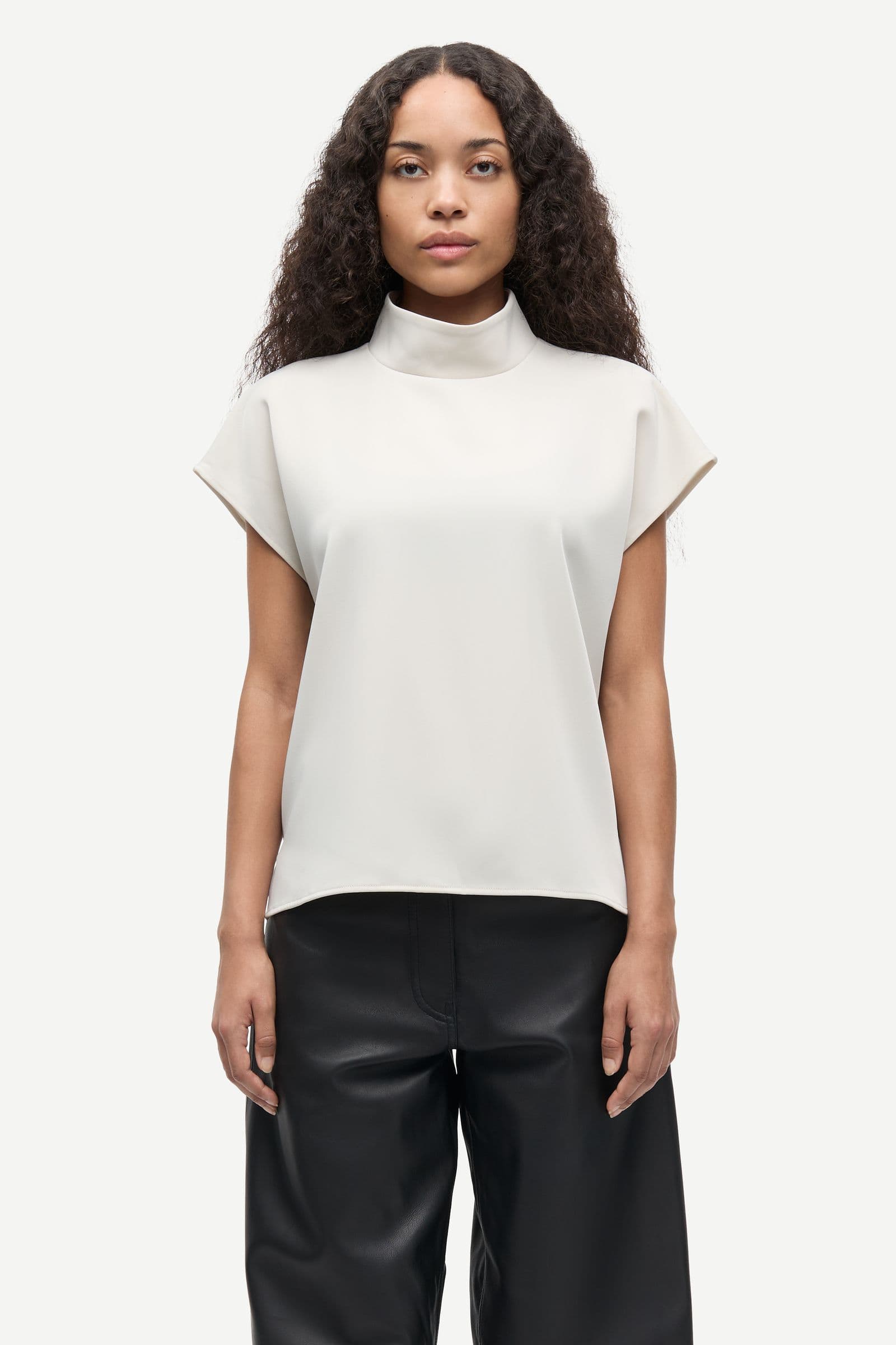 Sahoys top 7331 Pumice Stone