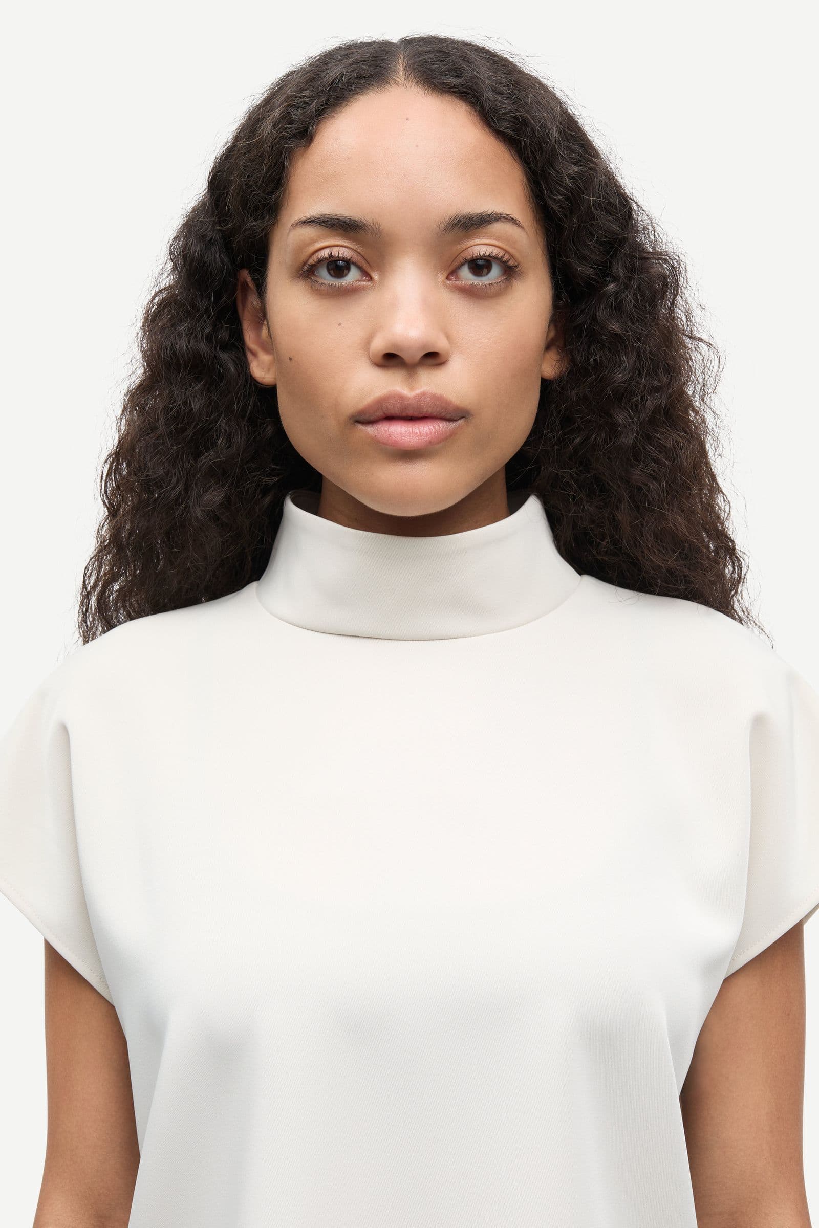 Sahoys top 7331 Pumice Stone